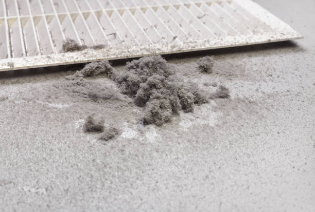 Best Affordable HVAC Duct Cleaning  in Center, TX