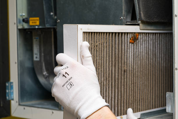 Best Air Duct Cleaning Company Near Me  in Center, TX