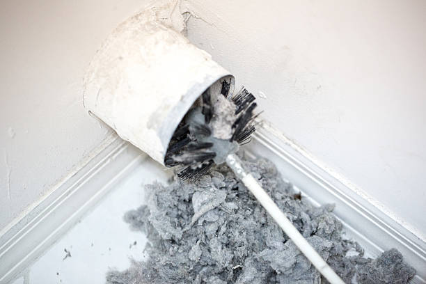 Best Professional Duct Cleaning Services  in Center, TX